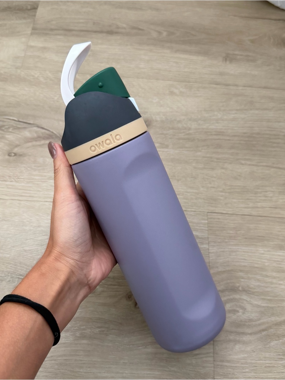 Owala 24oz FreeSip Stainless Steel Water Bottle - Due North